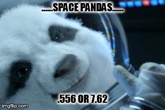 ......SPACE PANDAS...... .556 OR 7.62 | made w/ Imgflip meme maker