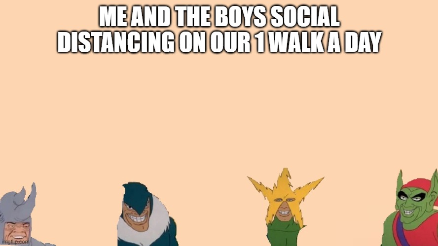 ME AND THE BOYS SOCIAL DISTANCING ON OUR 1 WALK A DAY | image tagged in me and the boys week,me and the boys | made w/ Imgflip meme maker