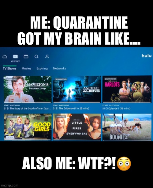 ME: QUARANTINE GOT MY BRAIN LIKE.... ALSO ME: WTF?!😳 | image tagged in coronavirus,quarantine,tv shows | made w/ Imgflip meme maker