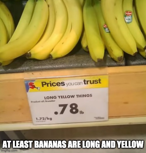 Undereducated employee | AT LEAST BANANAS ARE LONG AND YELLOW | image tagged in dumb,memes | made w/ Imgflip meme maker