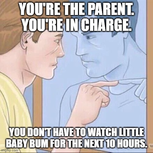 Pointing mirror guy | YOU'RE THE PARENT. YOU'RE IN CHARGE. YOU DON'T HAVE TO WATCH LITTLE BABY BUM FOR THE NEXT 10 HOURS. | image tagged in pointing mirror guy | made w/ Imgflip meme maker