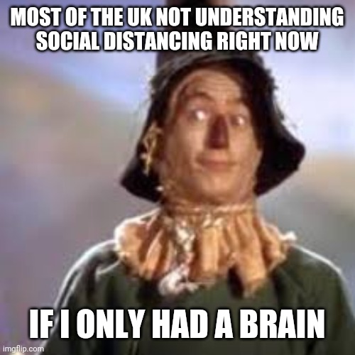 Brainless | MOST OF THE UK NOT UNDERSTANDING SOCIAL DISTANCING RIGHT NOW; IF I ONLY HAD A BRAIN | image tagged in wizard of oz,uk,social distancing,memes,funny meme,stupid people | made w/ Imgflip meme maker