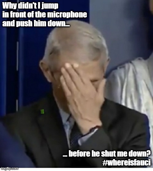 Fauci Facepalm | Why didn't I jump in front of the microphone and push him down... ... before he shut me down?
#whereisfauci | image tagged in fauci facepalm | made w/ Imgflip meme maker