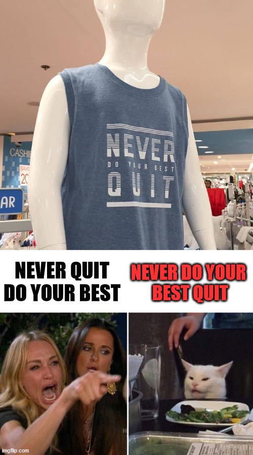 I just hope we all never quit and pull together as a country. | NEVER DO YOUR 
BEST QUIT; NEVER QUIT
DO YOUR BEST | image tagged in angry lady cat,be best,t-shirt,perspective | made w/ Imgflip meme maker