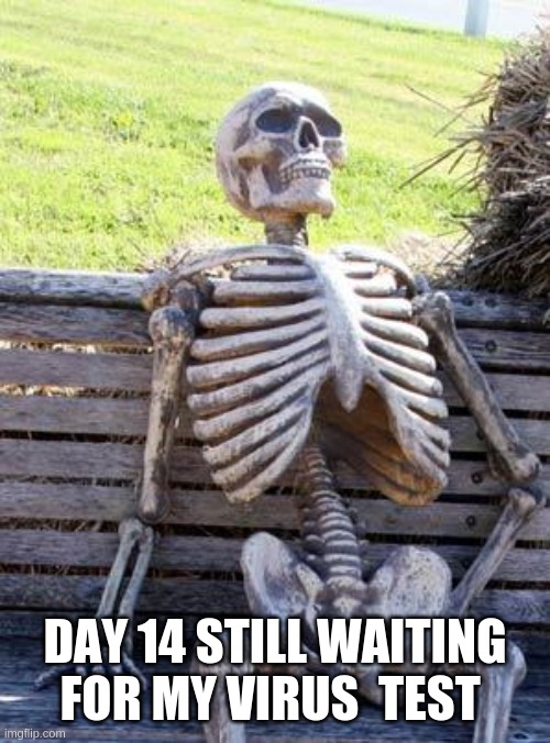 Waiting Skeleton Meme | DAY 14 STILL WAITING FOR MY VIRUS  TEST | image tagged in memes,waiting skeleton | made w/ Imgflip meme maker