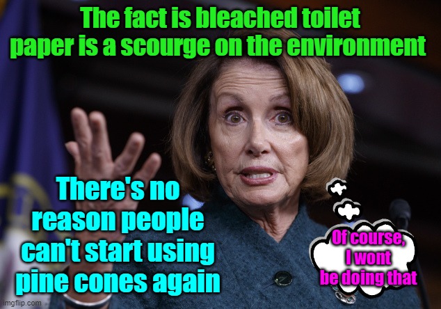 EnvironMENTAL policies | The fact is bleached toilet paper is a scourge on the environment; There's no reason people can't start using pine cones again; Of course, I wont be doing that | image tagged in good old nancy pelosi,toilet paper,budget,pine cones,maga | made w/ Imgflip meme maker