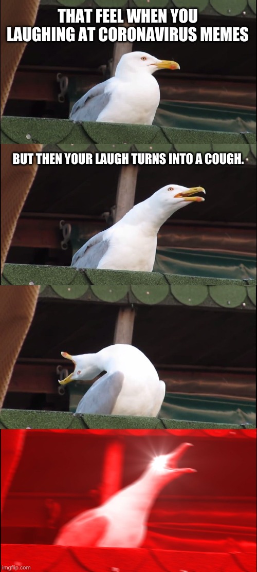 Inhaling Seagull | THAT FEEL WHEN YOU LAUGHING AT CORONAVIRUS MEMES; BUT THEN YOUR LAUGH TURNS INTO A COUGH. | image tagged in memes,inhaling seagull | made w/ Imgflip meme maker