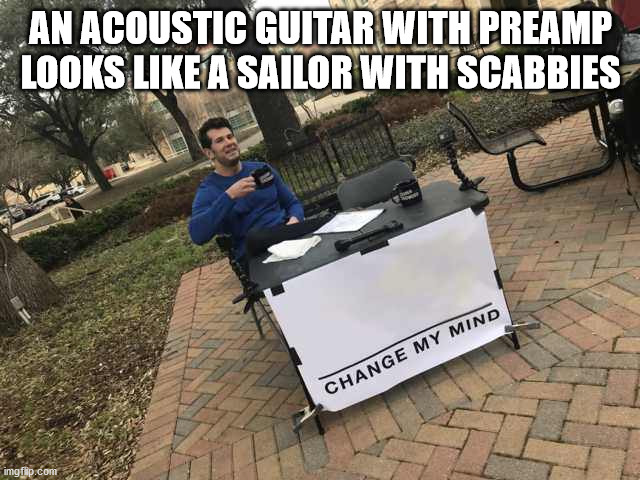 Prove me wrong | AN ACOUSTIC GUITAR WITH PREAMP LOOKS LIKE A SAILOR WITH SCABBIES | image tagged in prove me wrong | made w/ Imgflip meme maker