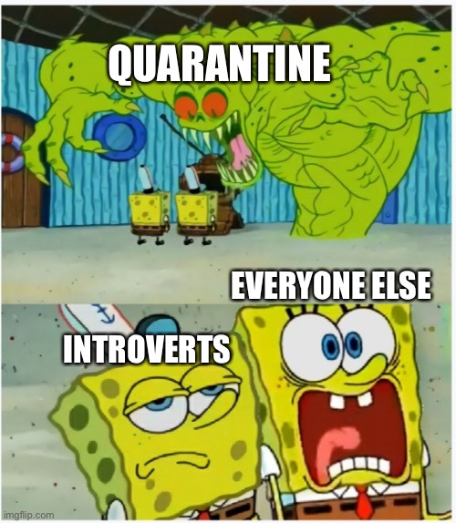 Just a typical day for me | QUARANTINE; INTROVERTS; EVERYONE ELSE | image tagged in spongebob squarepants scared but also not scared,introvert,covid-19,wuhan,quarantine,coronavirus | made w/ Imgflip meme maker