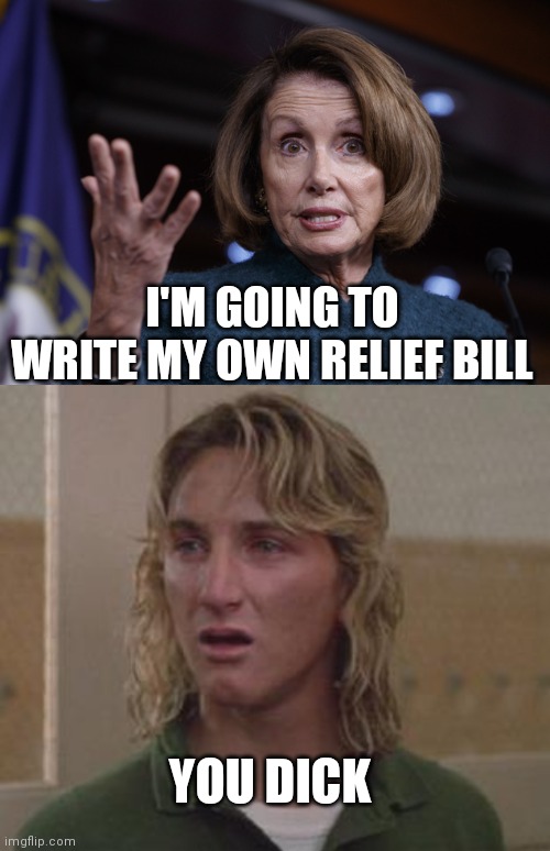 I'M GOING TO WRITE MY OWN RELIEF BILL; YOU DICK | image tagged in spicoli,good old nancy pelosi | made w/ Imgflip meme maker