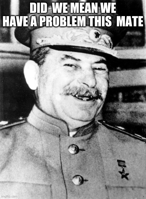 Stalin smile | DID  WE MEAN WE HAVE A PROBLEM THIS  MATE | image tagged in stalin smile | made w/ Imgflip meme maker