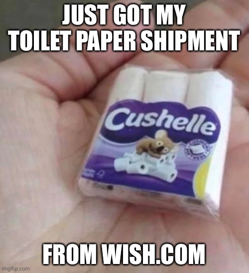Wish | JUST GOT MY TOILET PAPER SHIPMENT; FROM WISH.COM | image tagged in wish,toilet paper,no more toilet paper | made w/ Imgflip meme maker