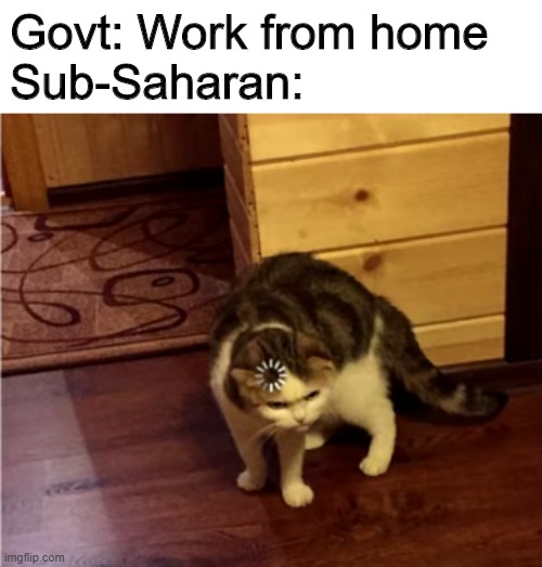 Loading Cat HD | Govt: Work from home
Sub-Saharan: | image tagged in loading cat hd | made w/ Imgflip meme maker