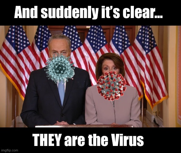 Spreading their poison every time they open their mouths | And suddenly it’s clear... THEY are the Virus | image tagged in chuck and nancy,coronavirus | made w/ Imgflip meme maker