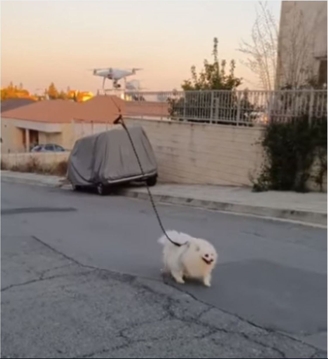 Drone walking dog Blank Meme Template