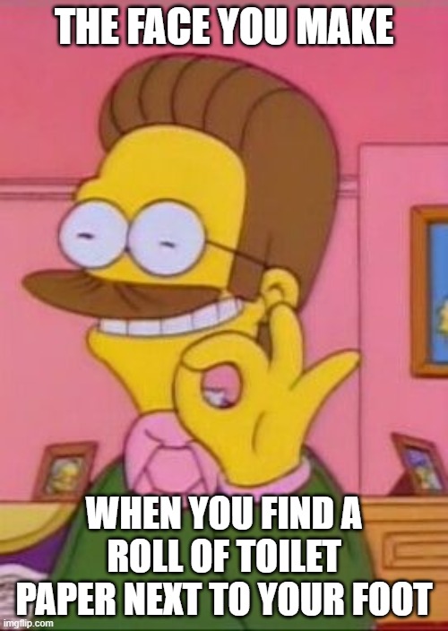 Ned flanders | THE FACE YOU MAKE; WHEN YOU FIND A ROLL OF TOILET PAPER NEXT TO YOUR FOOT | image tagged in ned flanders | made w/ Imgflip meme maker