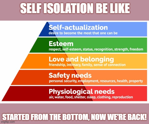 SELF ISOLATION BE LIKE; STARTED FROM THE BOTTOM, NOW WE'RE BACK! | image tagged in back to basics meme week,isolation,current mood,current events,humble | made w/ Imgflip meme maker