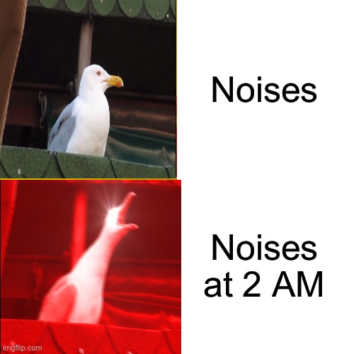 Yep. | Noises; Noises at 2 AM | image tagged in memes,drake hotline bling,noise,inhaling seagull,funny | made w/ Imgflip meme maker