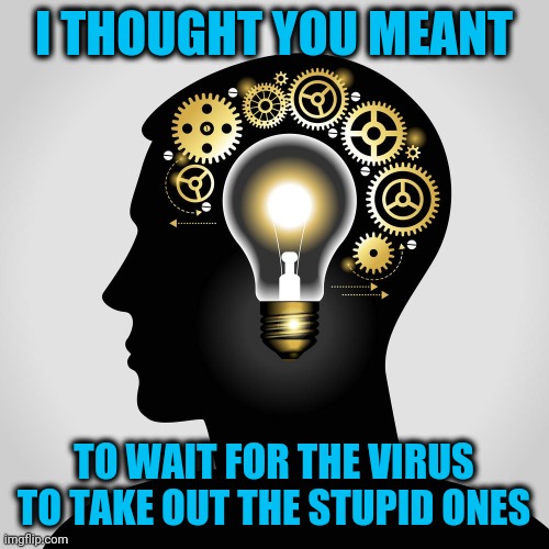 Good thinking | I THOUGHT YOU MEANT TO WAIT FOR THE VIRUS TO TAKE OUT THE STUPID ONES | image tagged in good thinking | made w/ Imgflip meme maker