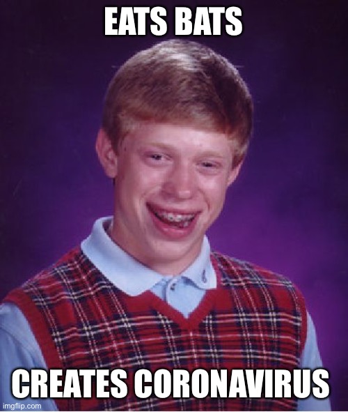 Bad Luck Brian | EATS BATS; CREATES CORONAVIRUS | image tagged in memes,bad luck brian | made w/ Imgflip meme maker