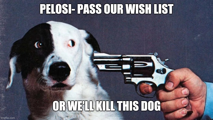 Democratic playbook | PELOSI- PASS OUR WISH LIST; OR WE'LL KILL THIS DOG | image tagged in memes | made w/ Imgflip meme maker