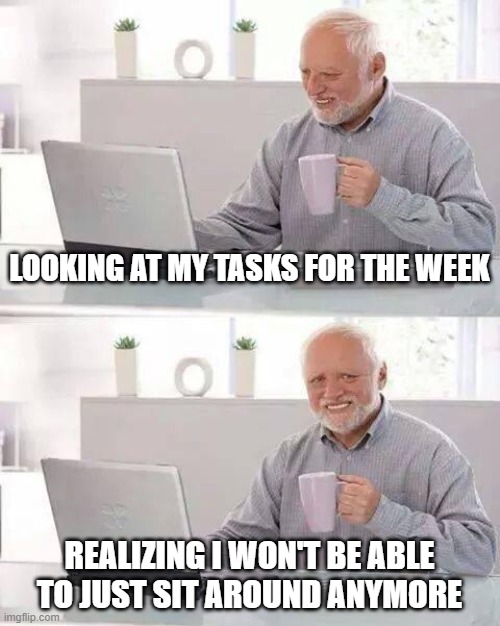 Hide the Pain Harold | LOOKING AT MY TASKS FOR THE WEEK; REALIZING I WON'T BE ABLE TO JUST SIT AROUND ANYMORE | image tagged in memes,hide the pain harold | made w/ Imgflip meme maker