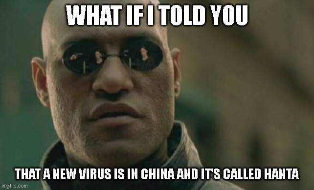 Matrix Morpheus Meme | WHAT IF I TOLD YOU; THAT A NEW VIRUS IS IN CHINA AND IT'S CALLED HANTA | image tagged in memes,matrix morpheus | made w/ Imgflip meme maker