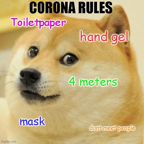 Doge | CORONA RULES; Toiletpaper; hand gel; 4 meters; mask; dont meet people | image tagged in memes,doge | made w/ Imgflip meme maker