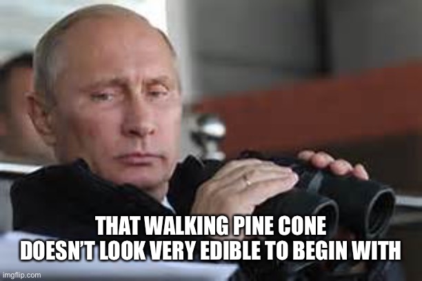 Putin Binoculars | THAT WALKING PINE CONE DOESN’T LOOK VERY EDIBLE TO BEGIN WITH | made w/ Imgflip meme maker
