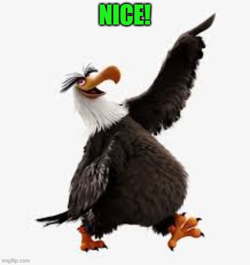 angry birds eagle | NICE! | image tagged in angry birds eagle | made w/ Imgflip meme maker