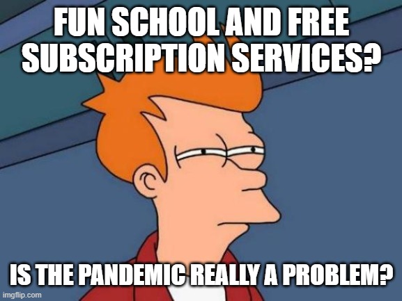 Futurama Fry | FUN SCHOOL AND FREE SUBSCRIPTION SERVICES? IS THE PANDEMIC REALLY A PROBLEM? | image tagged in memes,futurama fry | made w/ Imgflip meme maker