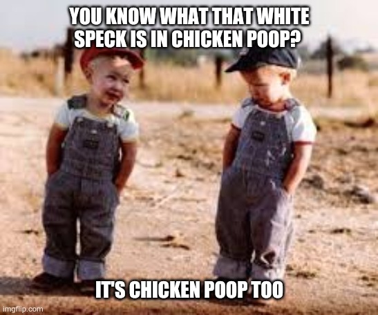 YOU KNOW WHAT THAT WHITE SPECK IS IN CHICKEN POOP? IT'S CHICKEN POOP TOO | image tagged in farmer | made w/ Imgflip meme maker