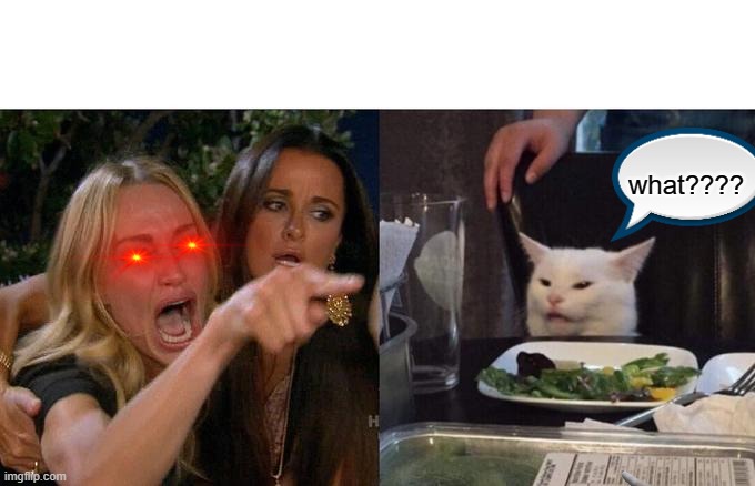 Woman Yelling At Cat | what???? | image tagged in memes,woman yelling at cat | made w/ Imgflip meme maker
