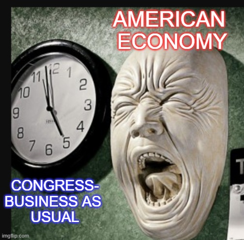 The Agony | AMERICAN 

ECONOMY; CONGRESS-
BUSINESS AS 
USUAL | image tagged in economics | made w/ Imgflip meme maker