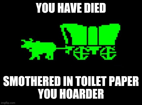 Toilet Paper Trail | YOU HAVE DIED; SMOTHERED IN TOILET PAPER
YOU HOARDER | image tagged in oregon trail,video games,coronavirus,hoarding | made w/ Imgflip meme maker