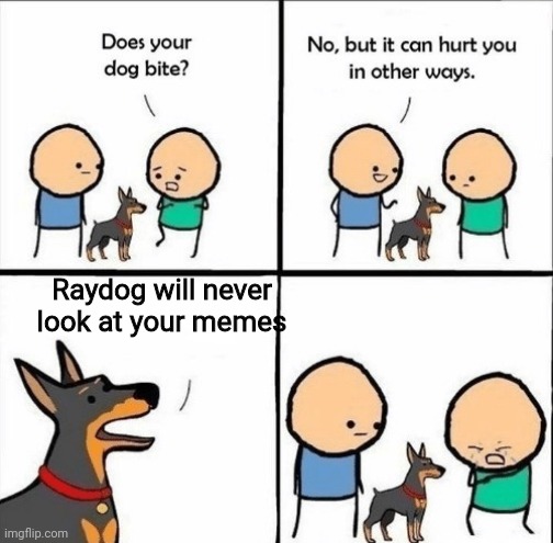 Tis true, my fellow imgflippers | Raydog will never look at your memes | image tagged in does your dog bite,raydog | made w/ Imgflip meme maker