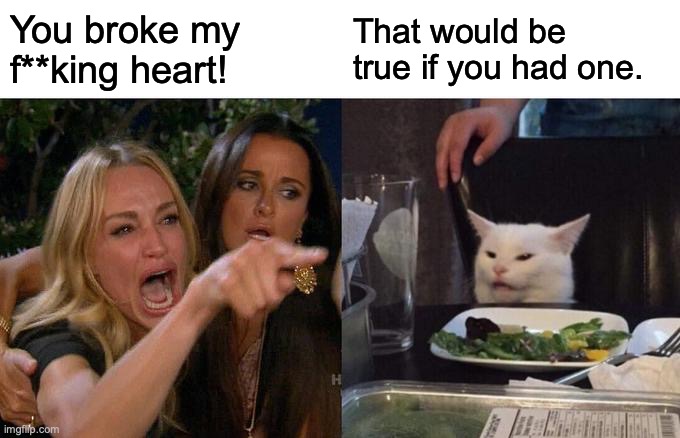 Woman Yelling At Cat Meme | You broke my f**king heart! That would be true if you had one. | image tagged in memes,woman yelling at cat | made w/ Imgflip meme maker
