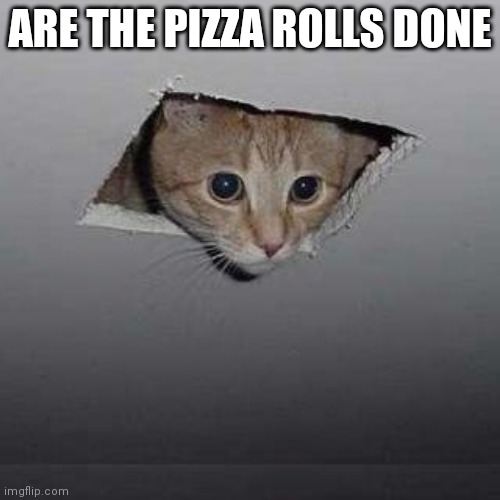 Ceiling Cat Meme | ARE THE PIZZA ROLLS DONE | image tagged in memes,ceiling cat | made w/ Imgflip meme maker