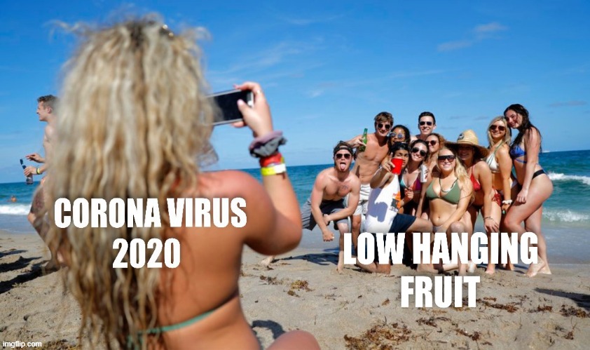 Low Hanging Fruit | image tagged in corona,corona virus,spring break,morons,darwin award,millenials | made w/ Imgflip meme maker