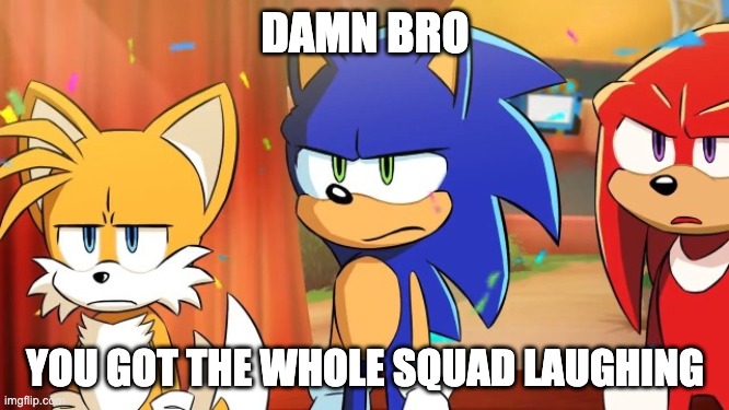 DAMN BRO; YOU GOT THE WHOLE SQUAD LAUGHING | image tagged in sonic the hedgehog,sonic | made w/ Imgflip meme maker