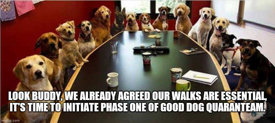 Good dog quaranteam | LOOK BUDDY, WE ALREADY AGREED OUR WALKS ARE ESSENTIAL, IT'S TIME TO INITIATE PHASE ONE OF GOOD DOG QUARANTEAM. | image tagged in quarantine | made w/ Imgflip meme maker