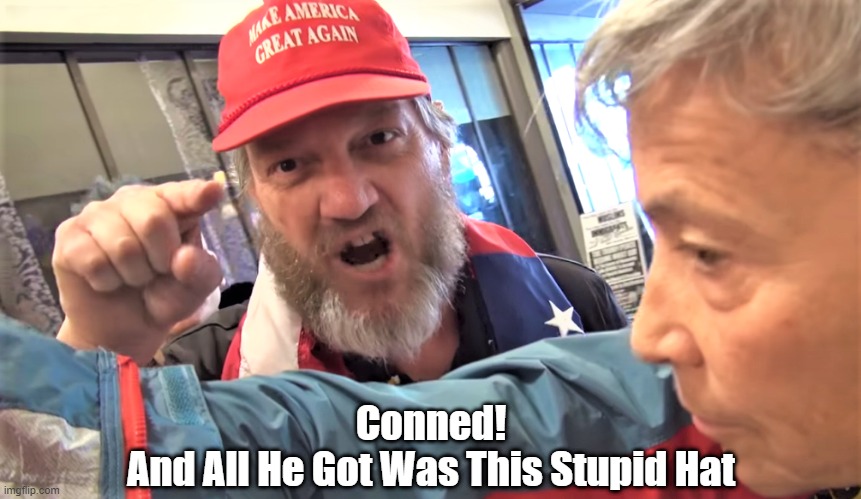 "Conned! And All He Got Was..." | Conned!
And All He Got Was This Stupid Hat | image tagged in duped by donald,the dunning kruger hypothesis,dishonest donald,devious donald | made w/ Imgflip meme maker