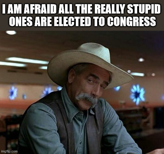 special kind of stupid | I AM AFRAID ALL THE REALLY STUPID 
ONES ARE ELECTED TO CONGRESS | image tagged in special kind of stupid | made w/ Imgflip meme maker