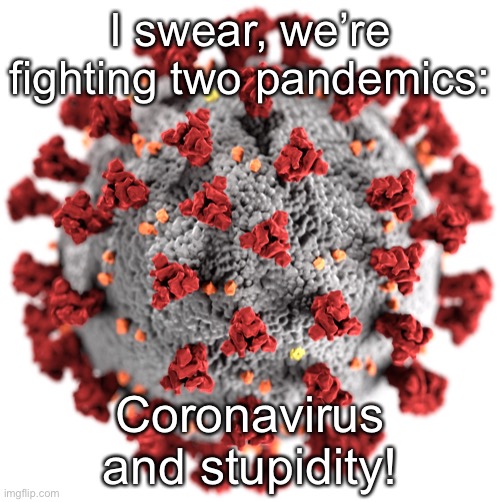 Coronavirus | I swear, we’re fighting two pandemics:; Coronavirus and stupidity! | image tagged in stupid people | made w/ Imgflip meme maker