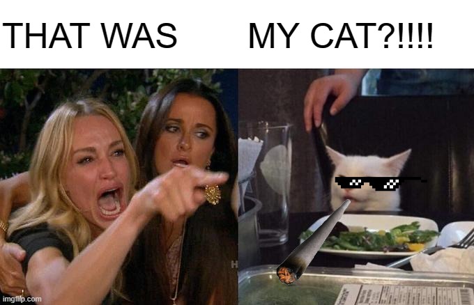 Woman Yelling At Cat Meme | THAT WAS; MY CAT?!!!! | image tagged in memes,woman yelling at cat | made w/ Imgflip meme maker