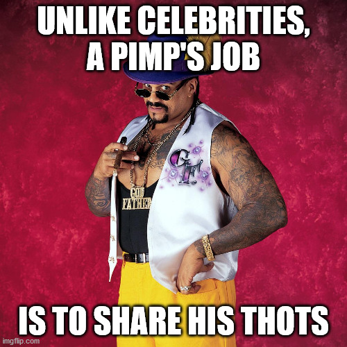 You know it's true. It's damn true. | UNLIKE CELEBRITIES, A PIMP'S JOB; IS TO SHARE HIS THOTS | image tagged in wwe godfather,wwe,thots | made w/ Imgflip meme maker