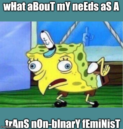 Mocking Spongebob | wHat aBouT mY neEds aS A; trAnS nOn-bInarY fEmiNisT | image tagged in memes,mocking spongebob | made w/ Imgflip meme maker