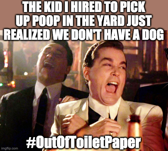 Good Fellas Hilarious Meme | THE KID I HIRED TO PICK UP POOP IN THE YARD JUST REALIZED WE DON'T HAVE A DOG; #OutOfToiletPaper | image tagged in memes,good fellas hilarious | made w/ Imgflip meme maker