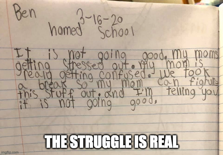 LOL! | THE STRUGGLE IS REAL | image tagged in homeschool,funny meme,coronavirus | made w/ Imgflip meme maker