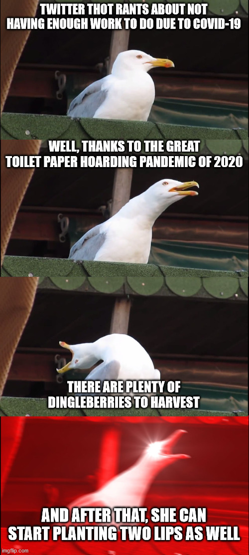 Bring in the dingleberries and put out the plants. Yakety yak. DON'T TALK BACK. | TWITTER THOT RANTS ABOUT NOT HAVING ENOUGH WORK TO DO DUE TO COVID-19; WELL, THANKS TO THE GREAT TOILET PAPER HOARDING PANDEMIC OF 2020; THERE ARE PLENTY OF DINGLEBERRIES TO HARVEST; AND AFTER THAT, SHE CAN START PLANTING TWO LIPS AS WELL | image tagged in memes,inhaling seagull | made w/ Imgflip meme maker